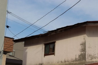 IMG_0602-columns2