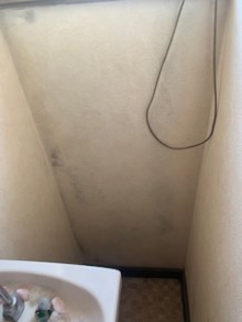 トイレ壁