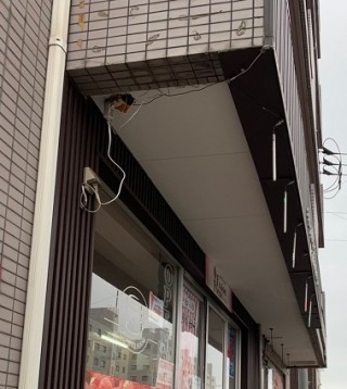 塗装仕上げ