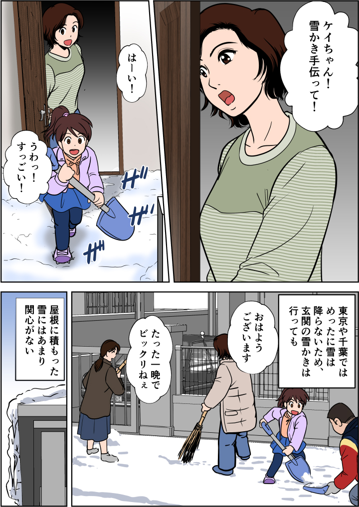東京や千葉ではめったに雪は降らず、玄関の雪かきをしても屋根の雪には関心がない
