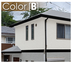 Color 【B】はライトグレー色の屋根に同系色のホワイト、ライトグレー色の外壁でクールで落ち着きのある印象